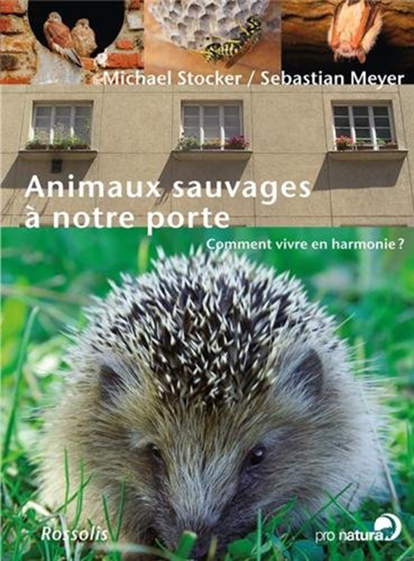 ANIMAUX SAUVAGES À NOSTRE PORTE. COMMENT VIVRE EN HARMONIE 1