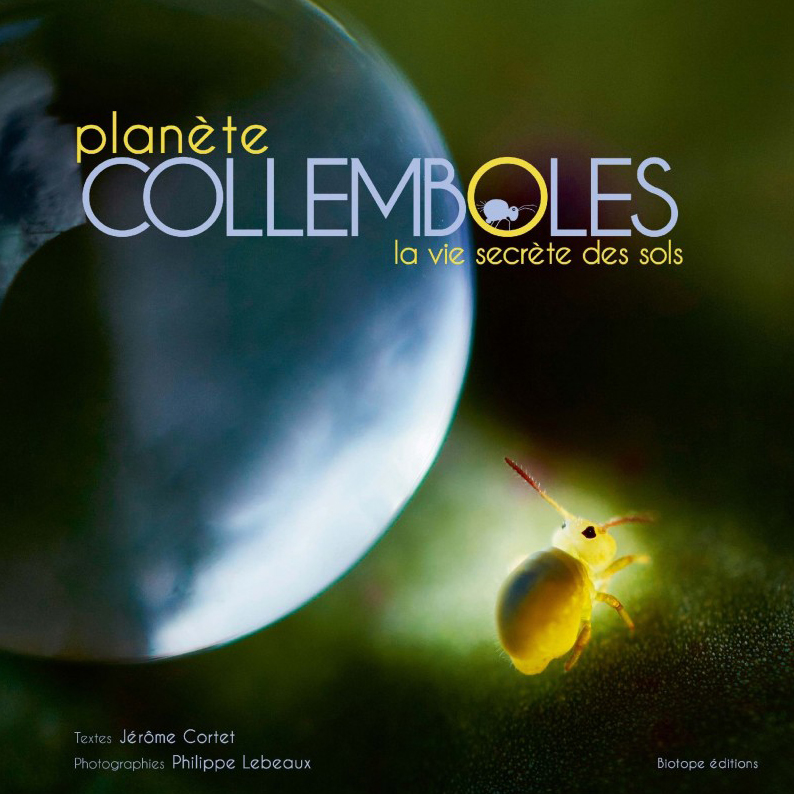 PLANÈTE COLLEMBOLES.  LA VIE SECRÈTE DES SOLS