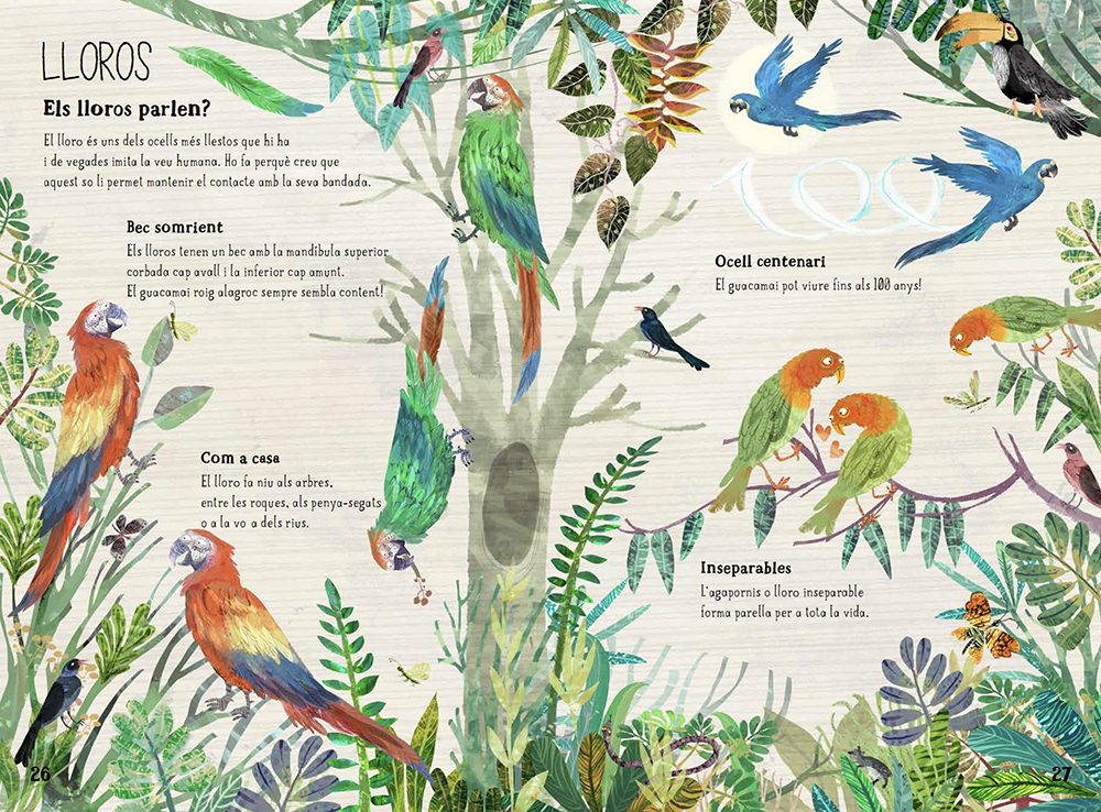 EL GRAN LLIBRE DELS OCELLS 2