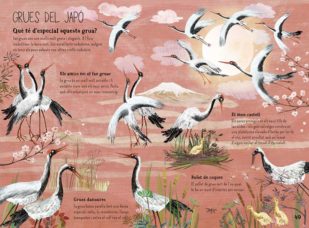 EL GRAN LLIBRE DELS OCELLS 3