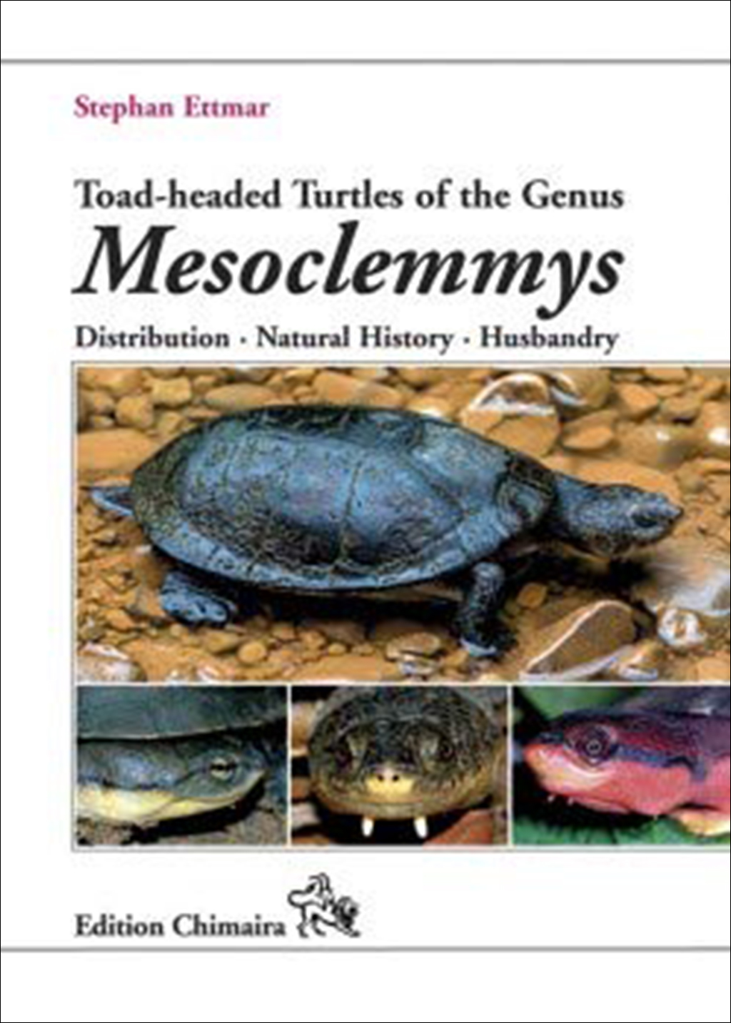 TOAD-HEADED TURTLES OF THE GENUS MESOCLEMMYS. DISTRIBUTION, NATURAL HISTORY, HUSBANDRY