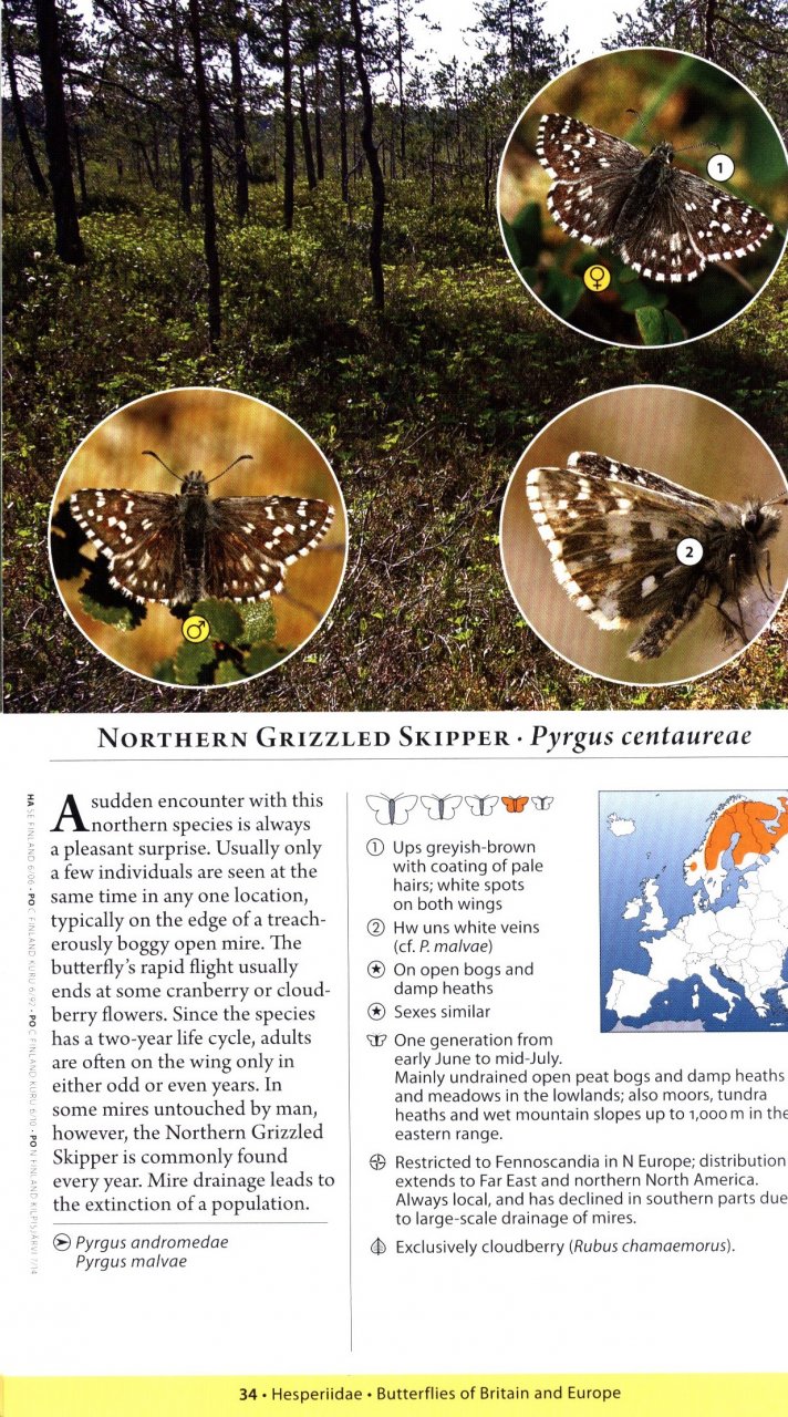 A NATURALIST'S GUIDE TO THE BUTTERFLIES OF BRITAIN AND NORTHERN EUROPE. 2 ED. 3