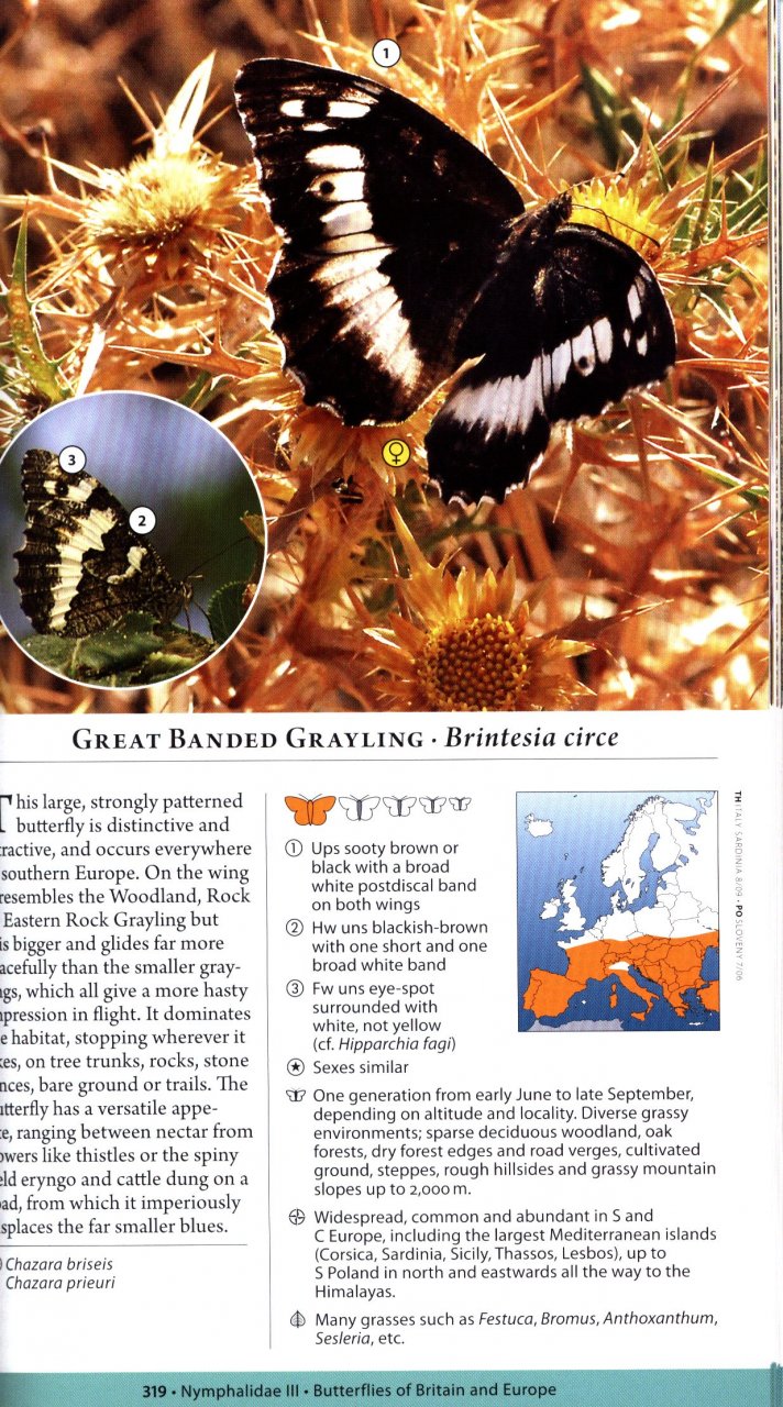 A NATURALIST'S GUIDE TO THE BUTTERFLIES OF BRITAIN AND NORTHERN EUROPE. 2 ED. 4