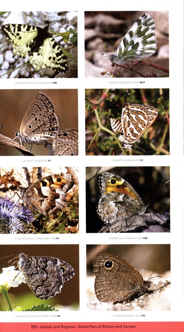A NATURALIST'S GUIDE TO THE BUTTERFLIES OF BRITAIN AND NORTHERN EUROPE. 2 ED. 6