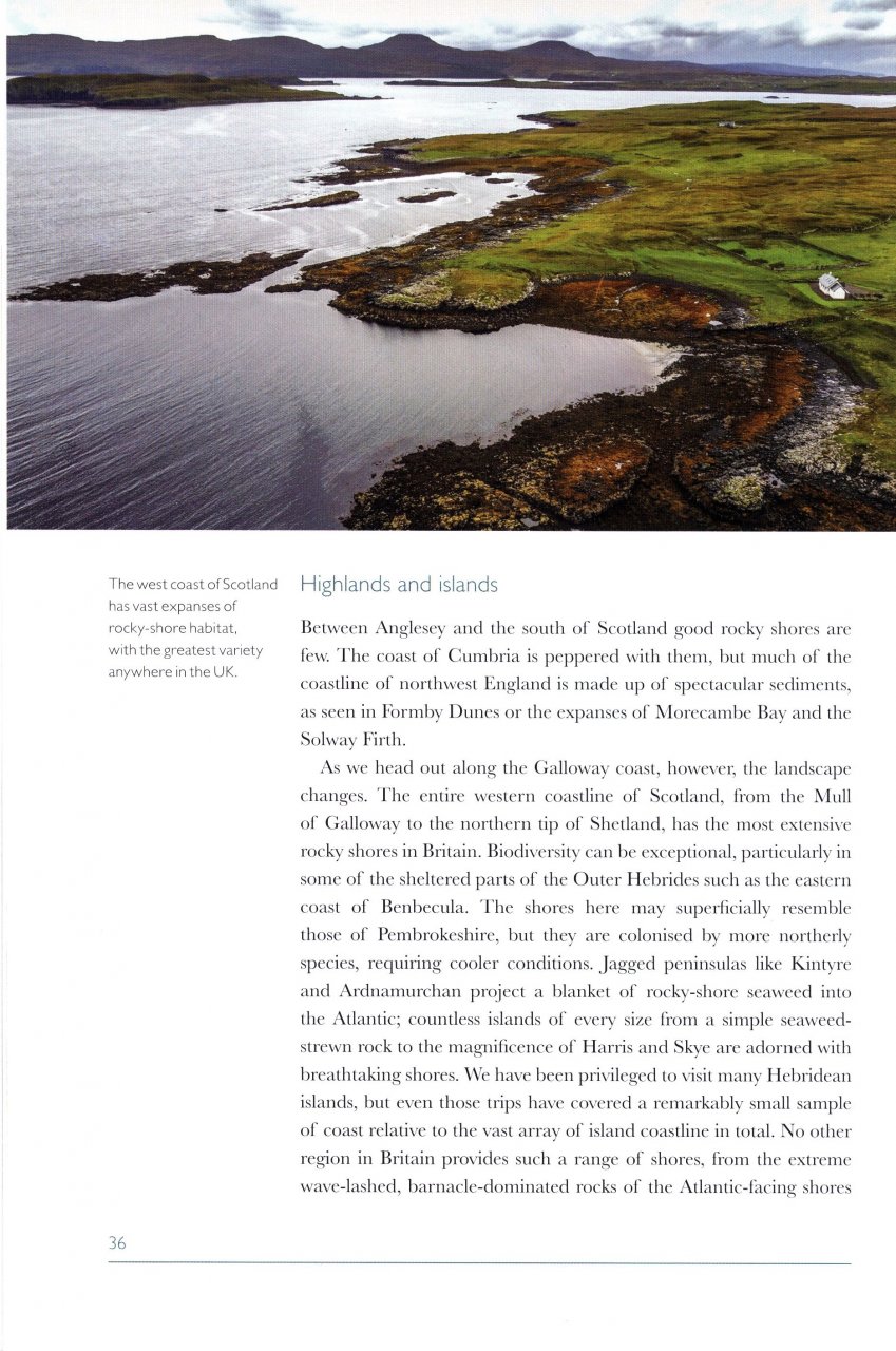 ROCKY SHORES 3