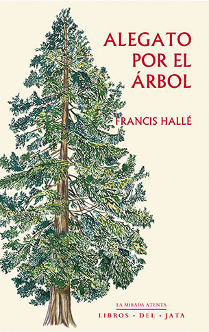 ALEGATO POR EL ÁRBOL 1