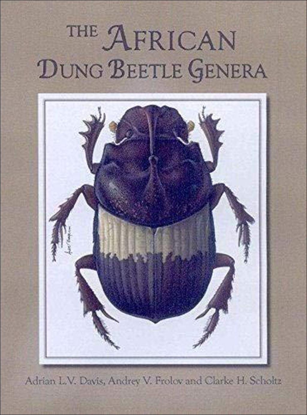 THE AFRICAN DUNG BEETLE GENERA