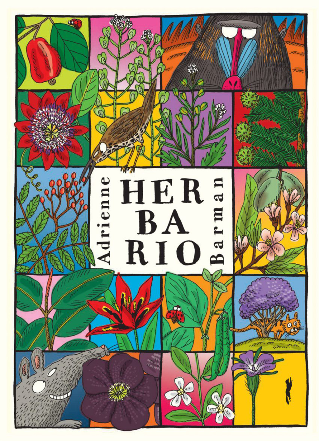 HERBARIO
