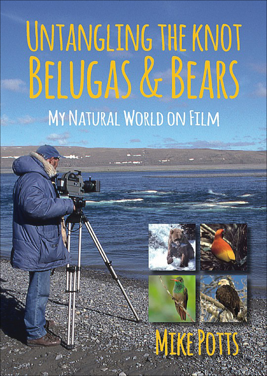 UNTANGLING THE KNOT, BELUGAS AND BEARS: MY NATURAL WORLD ON FILM