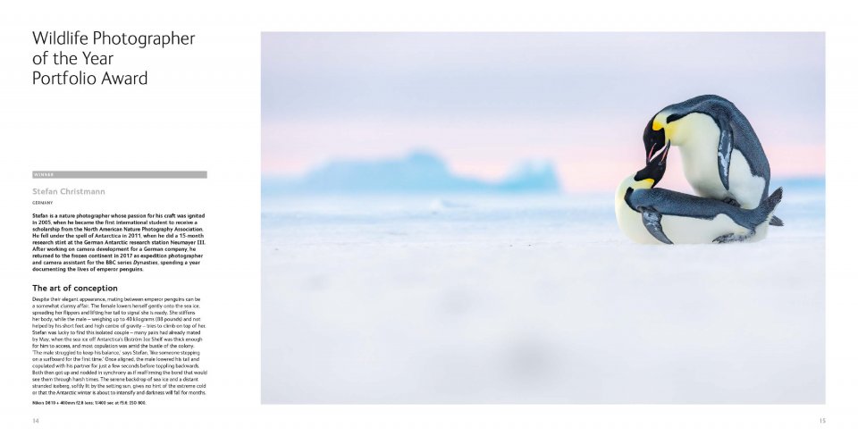 WILDLIFE PHOTOGRAPHER OF THE YEAR. PORTFOLIO 29 4