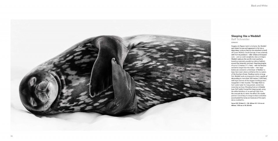 WILDLIFE PHOTOGRAPHER OF THE YEAR. PORTFOLIO 29 5