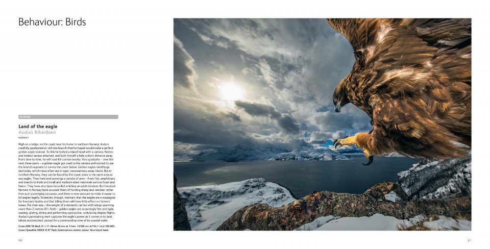 WILDLIFE PHOTOGRAPHER OF THE YEAR. PORTFOLIO 29 6