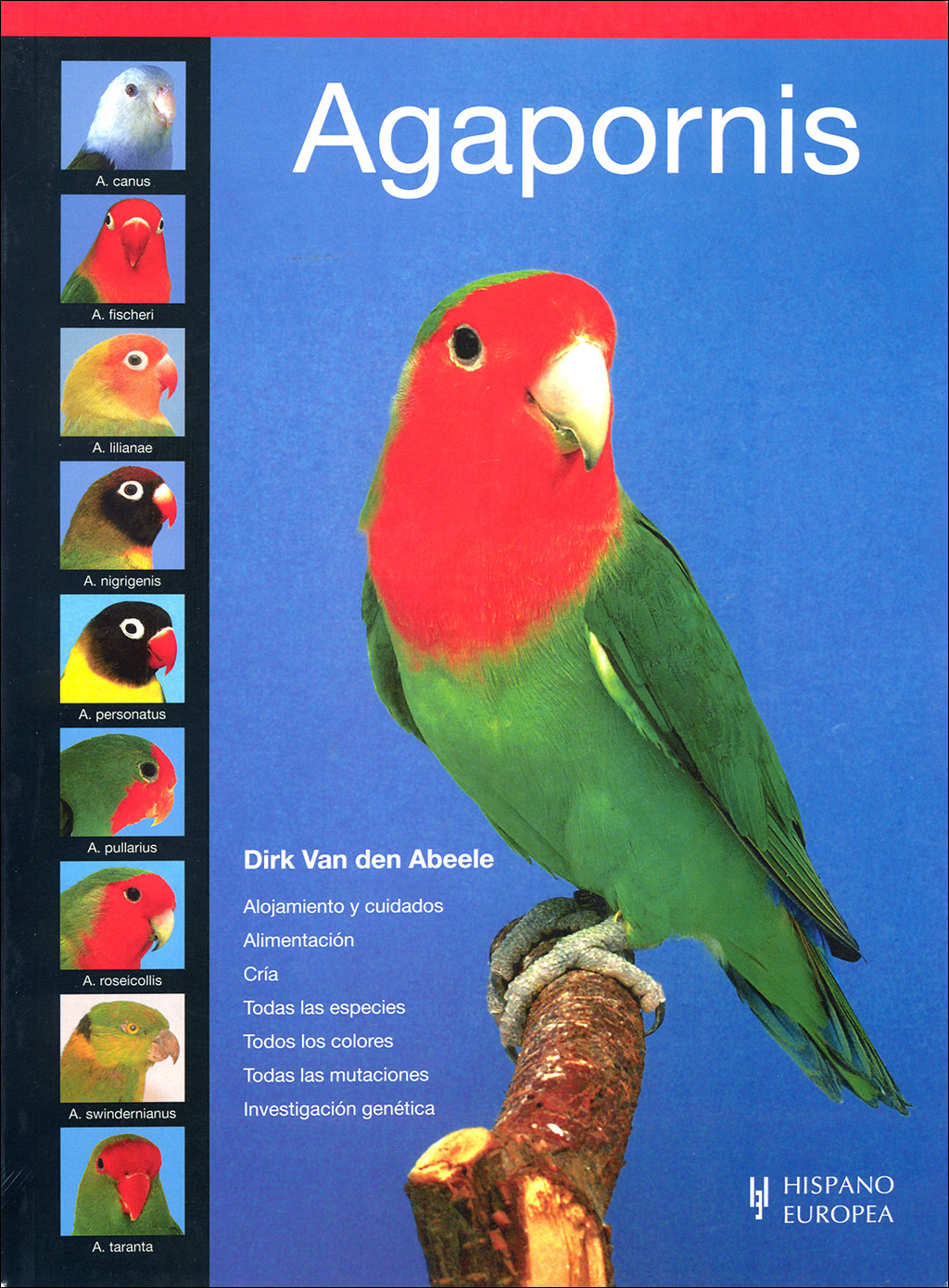 AGAPORNIS