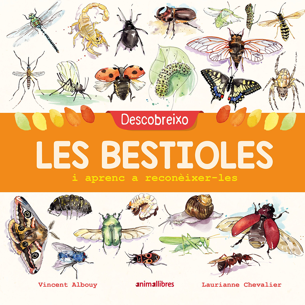 DESCOBREIXO LES BESTIOLES I APRENC A RECONÈXER-LES 1