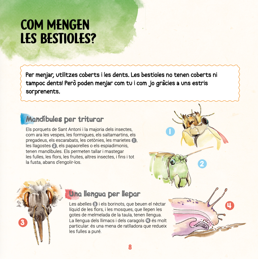 DESCOBREIXO LES BESTIOLES I APRENC A RECONÈXER-LES 2