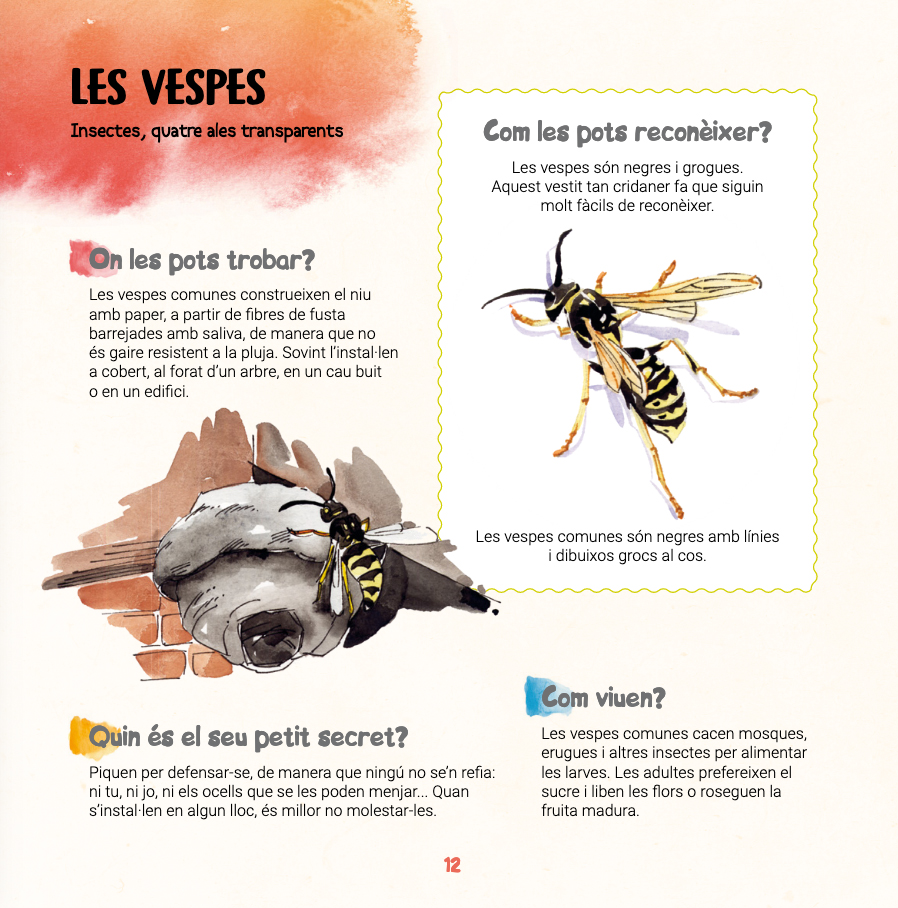 DESCOBREIXO LES BESTIOLES I APRENC A RECONÈXER-LES 3