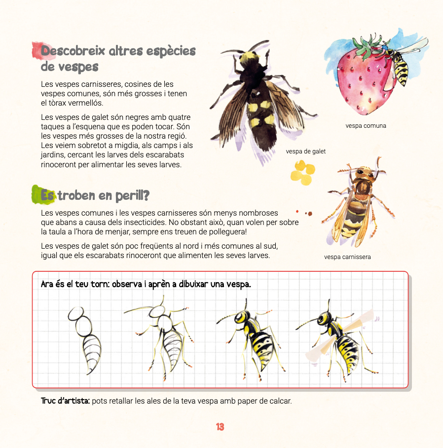 DESCOBREIXO LES BESTIOLES I APRENC A RECONÈXER-LES 4