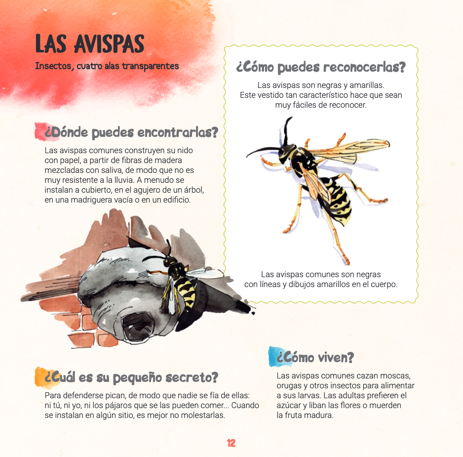 DESCUBRO LOS BICHOS Y APRENDO A RECONOCERLOS 3