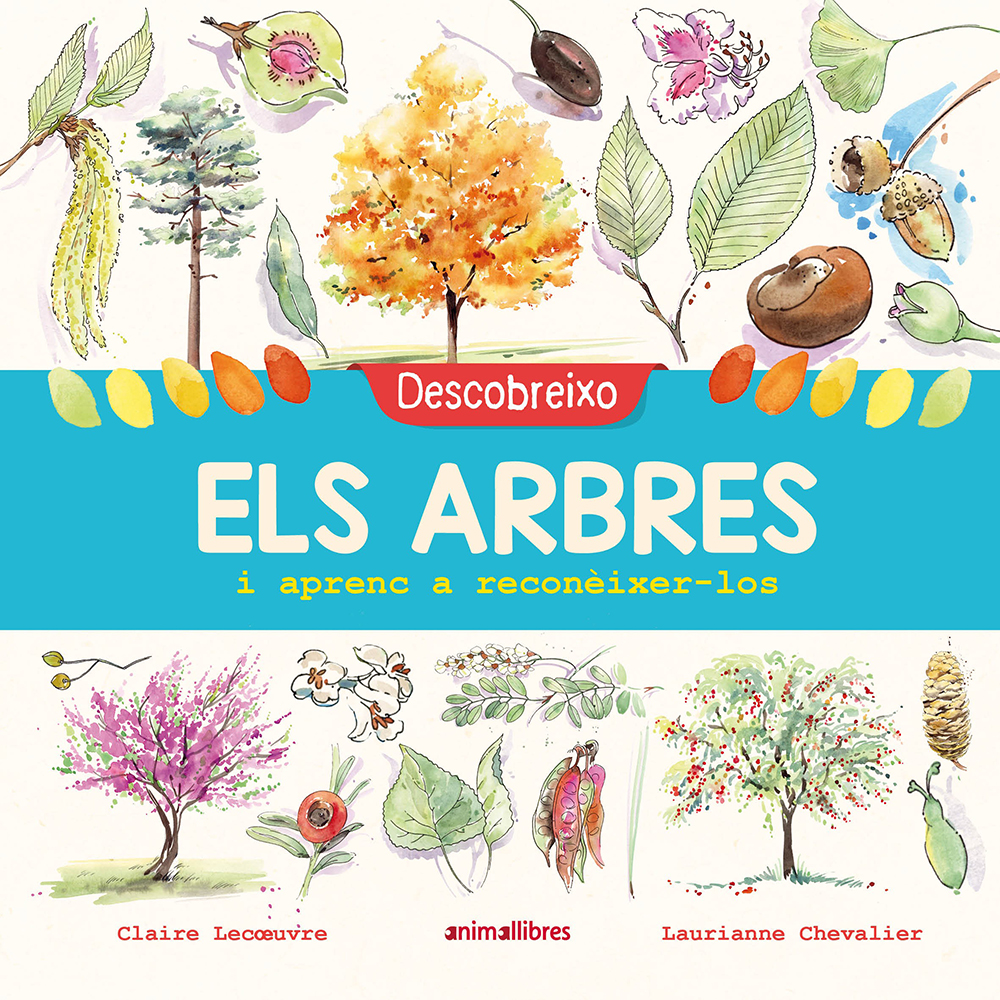 DESCOBREIXO ELS ARBRES I APRENC A RECONÉIXER-LOS 1