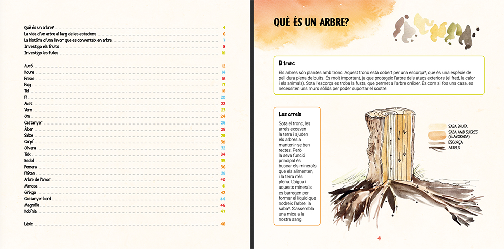DESCOBREIXO ELS ARBRES I APRENC A RECONÉIXER-LOS 2