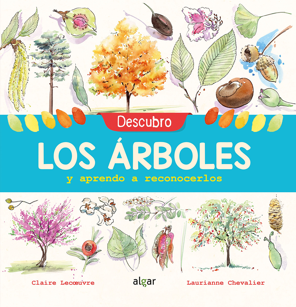 DESCUBRO LOS ÁRBOLES Y APRENDO A RECONOCERLOS 1