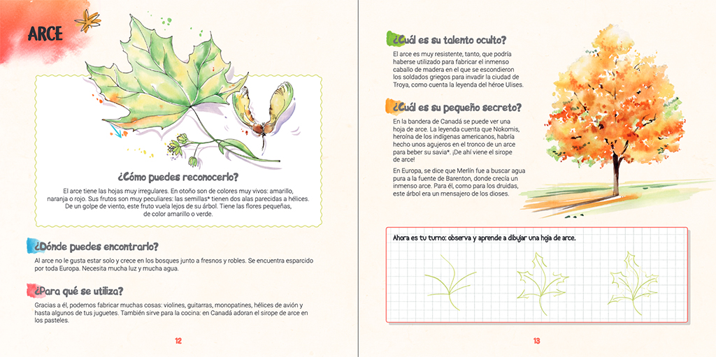 DESCUBRO LOS ÁRBOLES Y APRENDO A RECONOCERLOS 3