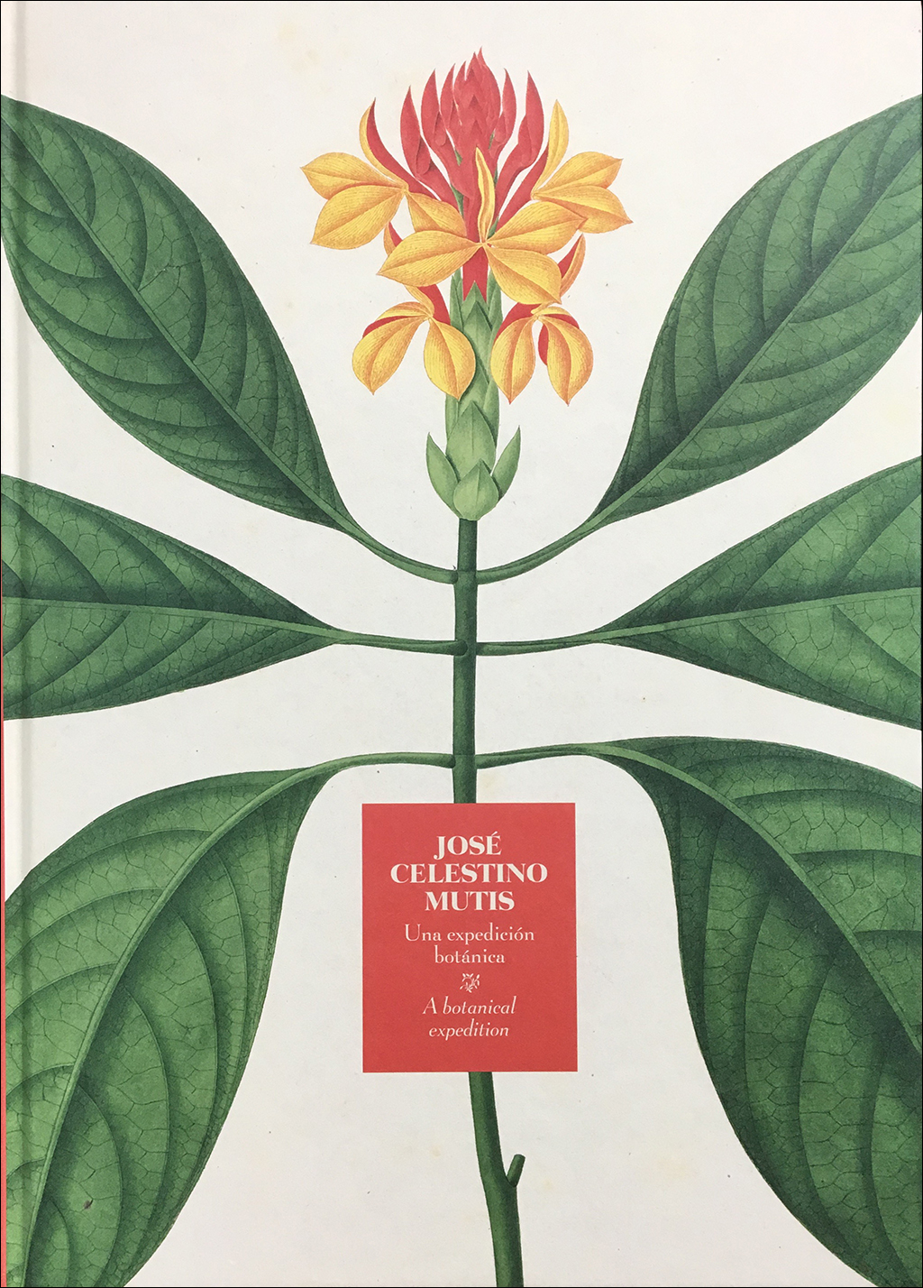 JOSÉ CELESTINO MUTIS. UNA EXPEDICIÓN BOTÁNICA. A BOTANICAL EXPEDITION 1