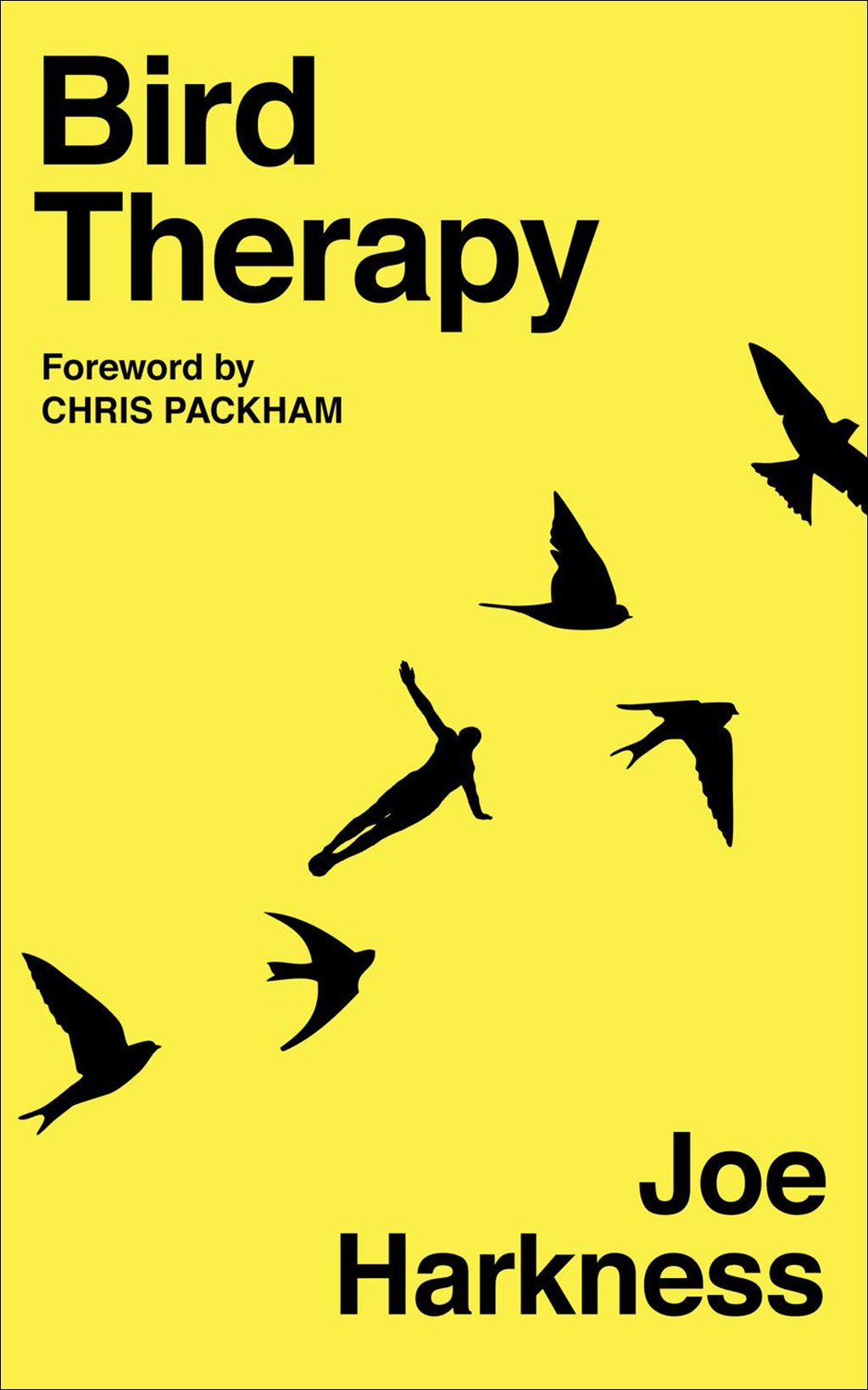 BIRD THERAPY