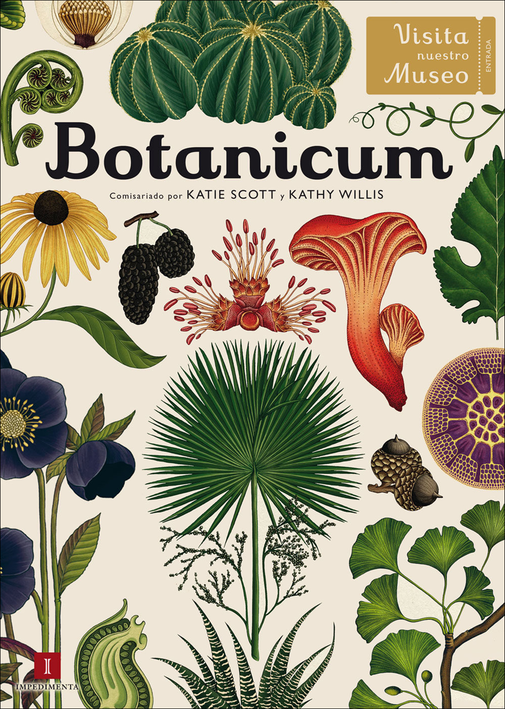 BOTANICUM. VISITA NUESTRO MUSEO