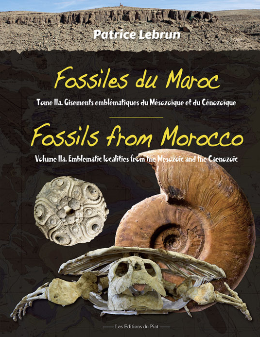 FOSSILES DU MAROC, TOME 2A : GISEMENTS EMBLÉMATIQUES DU MÉSOZOÏQUE ET DU CÉNOZOÏQUE/FOSSILS FROM MOROCCO, VOLUME 2: EMBLEMATIC LOCALITIES FROM THE MES 1