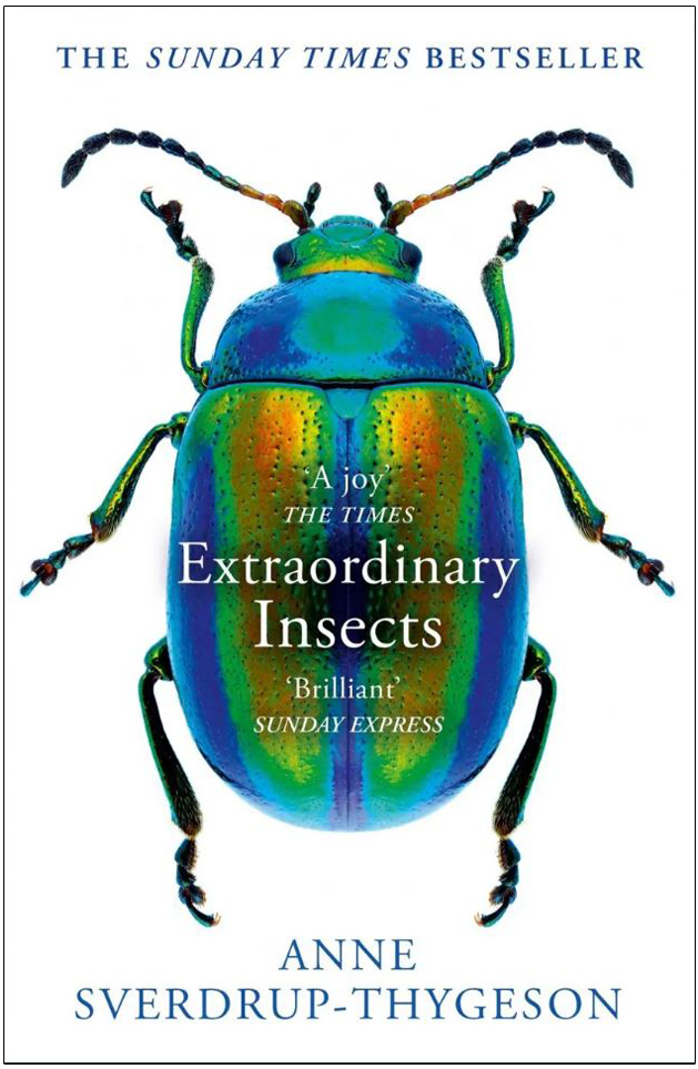 EXTRAORDINARY INSECTS