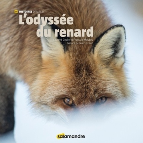L'ODYSSÉE DU RENARD. COLLECTION HISTOIRES D'IMAGES
