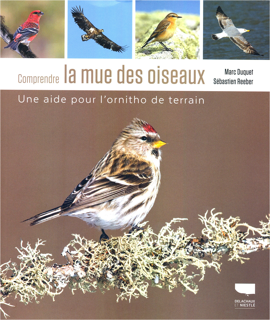 COMPRENDRE LA MUE DES OISEAUX - UNA AIDE POUR L'ORNITHO DE TERRAIN
