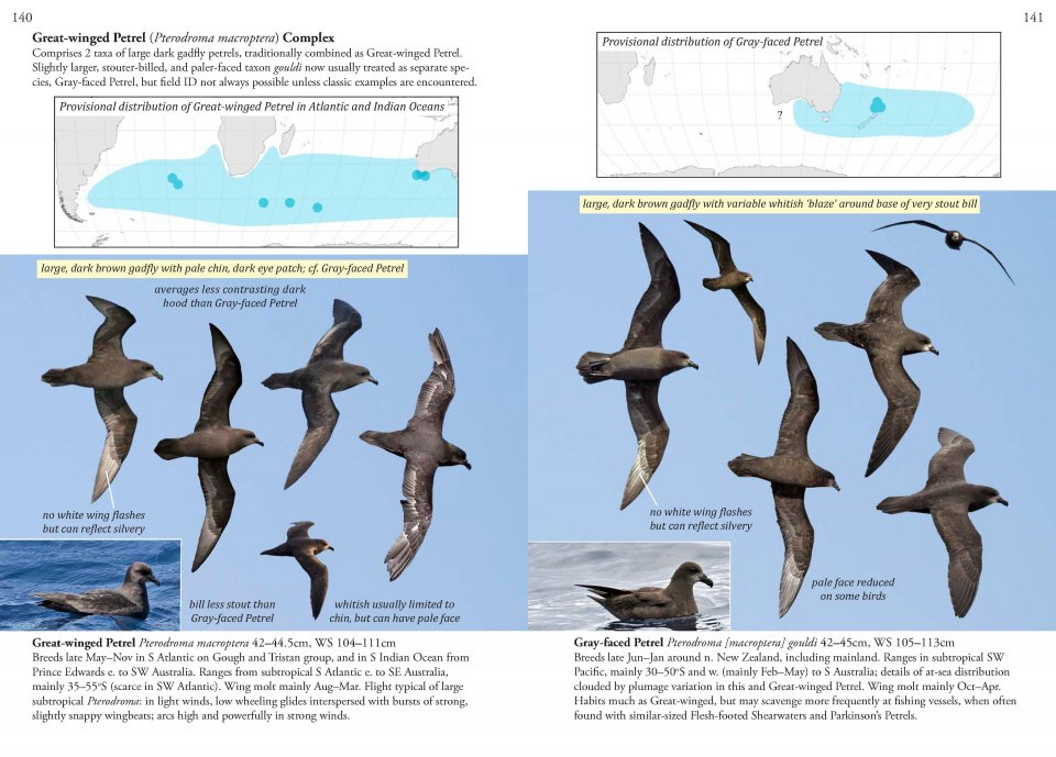 OCEANIC BIRDS OF THE WORLD 2