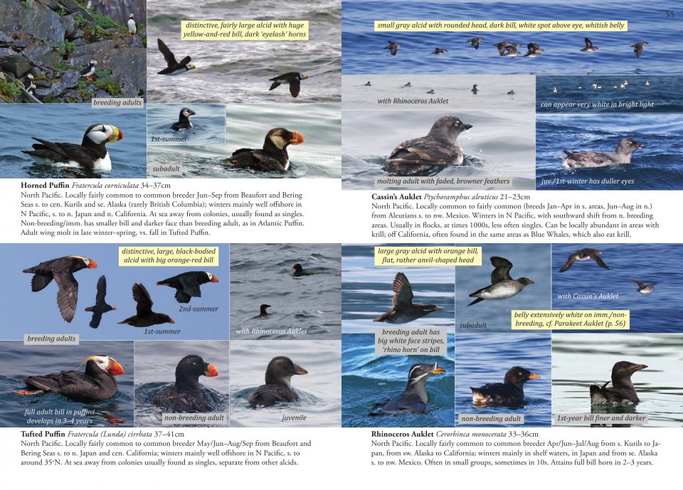 OCEANIC BIRDS OF THE WORLD 5