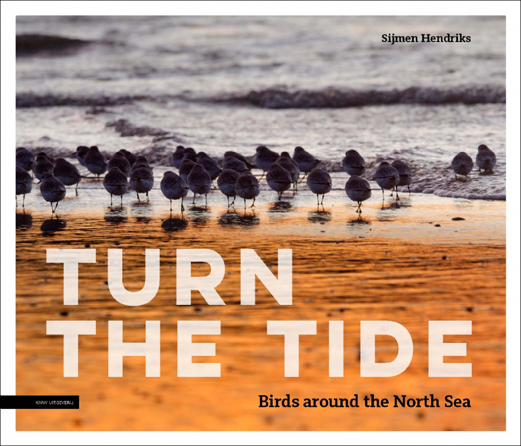 TURN THE TIDE: BIRDS AROUND THE NORTH SEA
