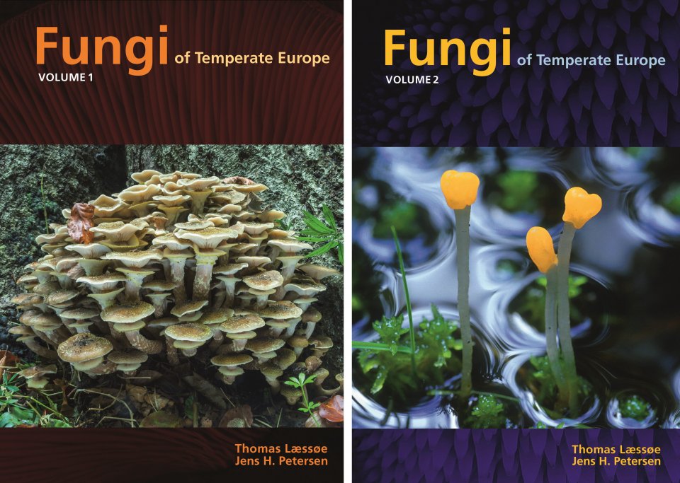 FUNGI OF TEMPERATE EUROPE. 2 VOLUME SET 1