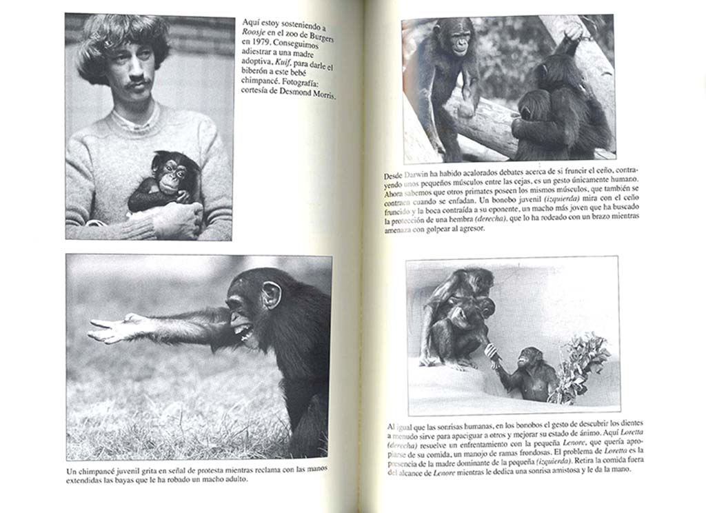 EL ÚLTIMO ABRAZO. LAS EMOCIONES DE LOS ANIMALES Y LO QUE NOS CUENTAN DE NOSOTROS 2