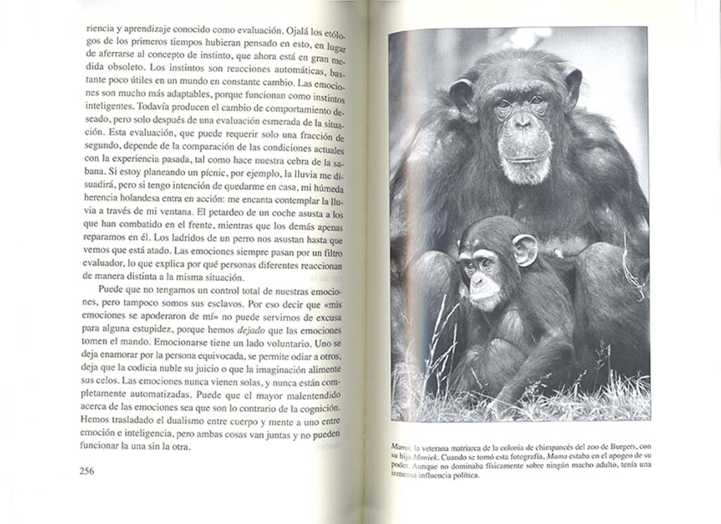 EL ÚLTIMO ABRAZO. LAS EMOCIONES DE LOS ANIMALES Y LO QUE NOS CUENTAN DE NOSOTROS 3