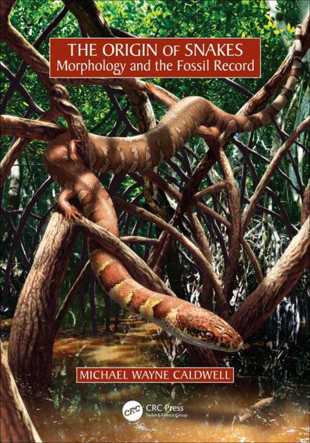 THE ORIGIN OF SNAKES: MORPHOLOGY AND THE FOSSIL RECORD