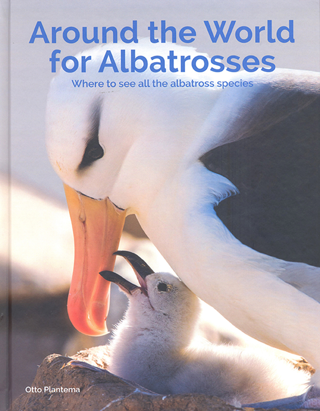 AROUND THE WORLD FOR ALBATROSSES. WHERE TO SEE ALL THE ALBATROSS SPECIES