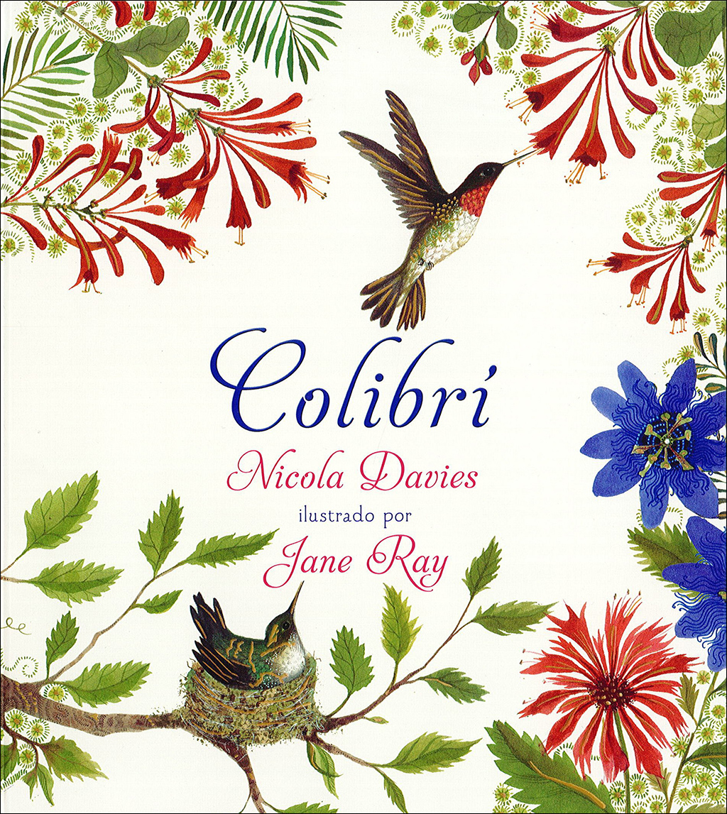 COLIBRI 1