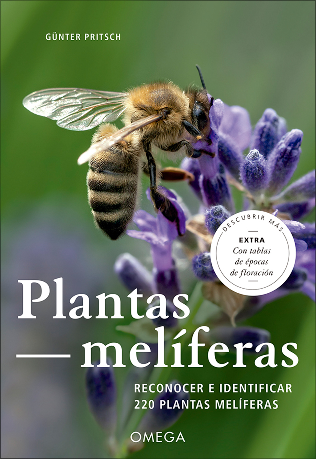 PLANTAS MELIFERAS. RECONOCER E IDENTIFICAR 220 PLANTAS MELÍFERAS 1