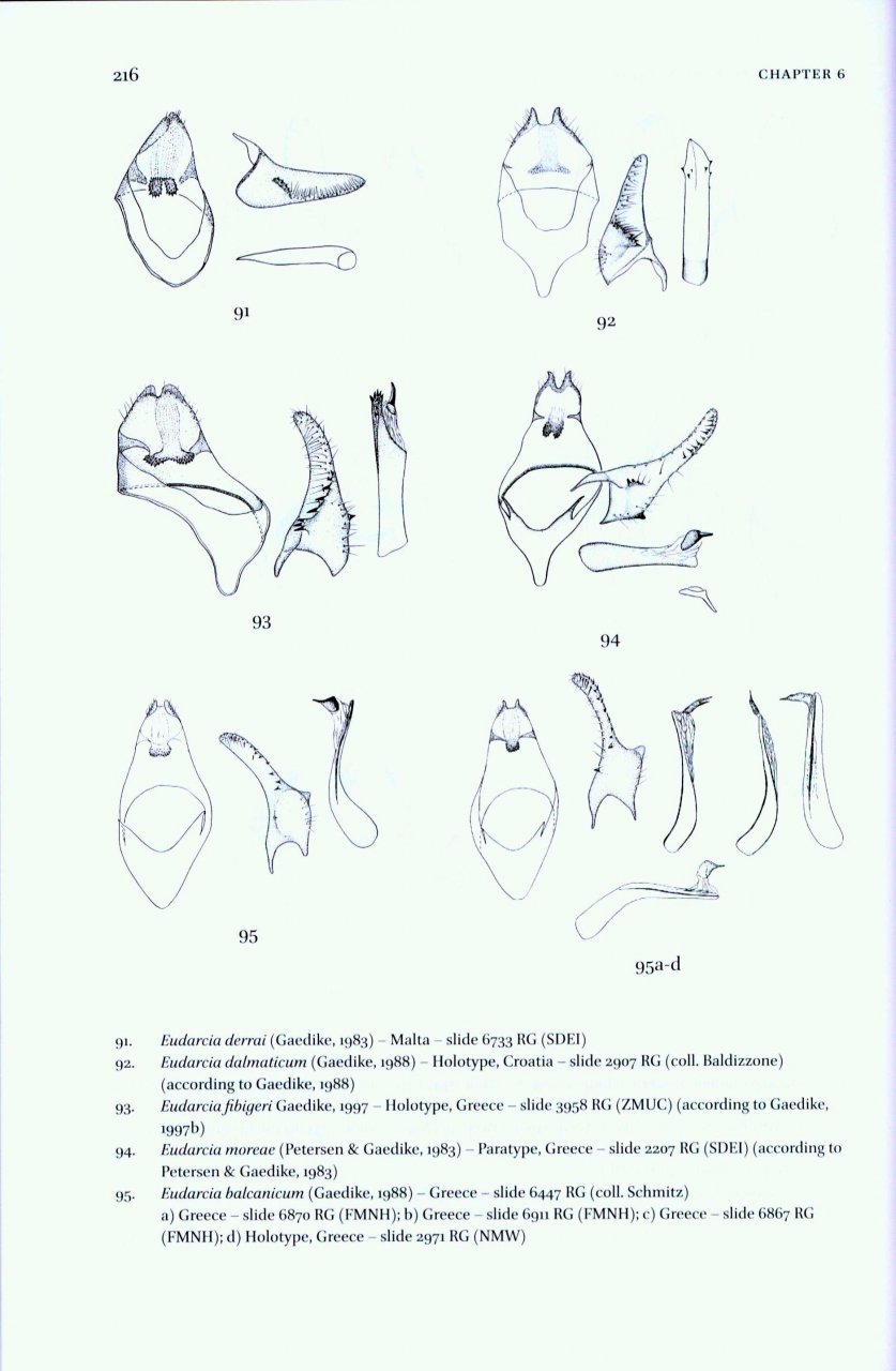 MICROLEPIDOPTERA OF EUROPE, VOLUME 7 TINEIDAE I (DRYADAULINAE, HAPSIFERINAE, EUPLOCAMINAE, SCARDIINAE, NEMAPOGONINAE AND MEESSIINAE) 4