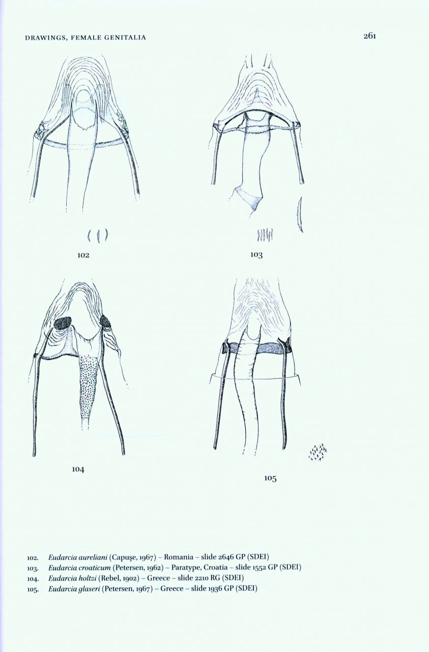 MICROLEPIDOPTERA OF EUROPE, VOLUME 7 TINEIDAE I (DRYADAULINAE, HAPSIFERINAE, EUPLOCAMINAE, SCARDIINAE, NEMAPOGONINAE AND MEESSIINAE) 5