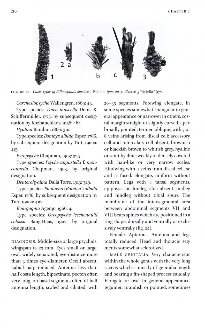 MICROLEPIDOPTERA OF EUROPE, VOLUME 8 PSYCHIDAE 2