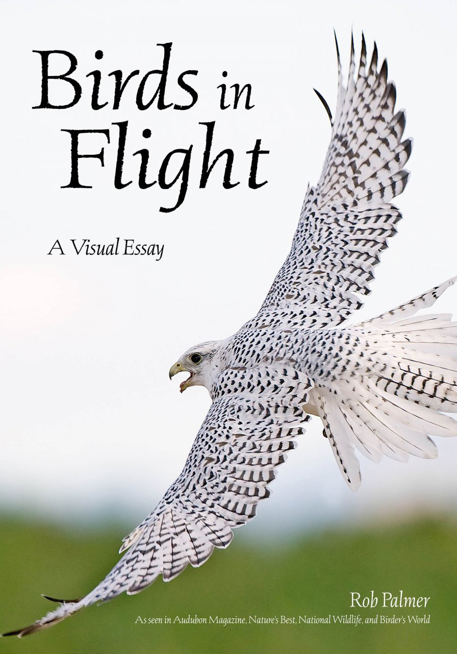 BIRDS IN FLIGHT. A PHOTOGRAPHIC ESSAY OF HAWKS, DUCKS, EAGLES, OWLS, HUMMINGBIRDS, AND MORE