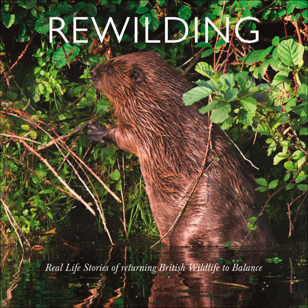 REWILDING: REAL LIFE STORIES OF RETURNING BRITISH AND IRISH WILDLIFE TO BALANCE
