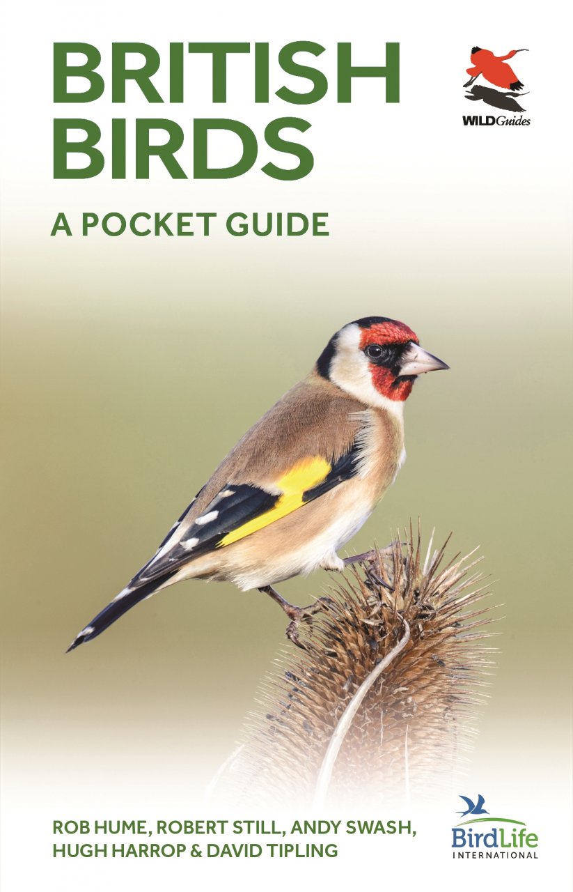 BRITISH BIRDS. A POCKET GUIDE 1