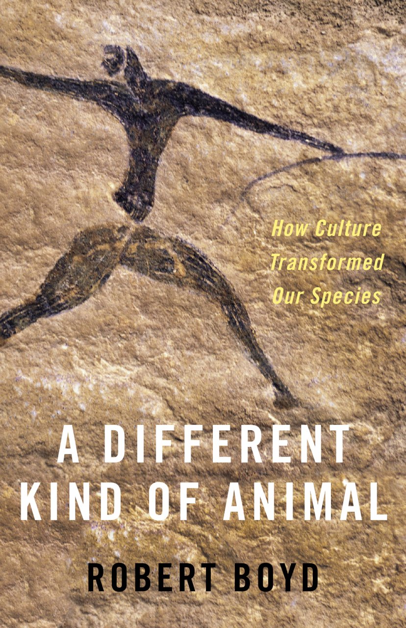 A DIFFERENT KIND OF ANIMAL. HOW CULTURE TRANSFORMED OUR SPECIES
